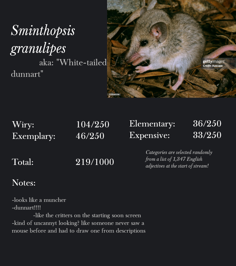 Sminthopsis granulipes